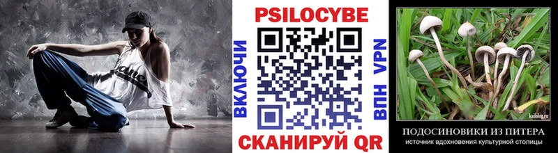 Галлюциногенные грибы мухоморы  Купить где  Ливны 